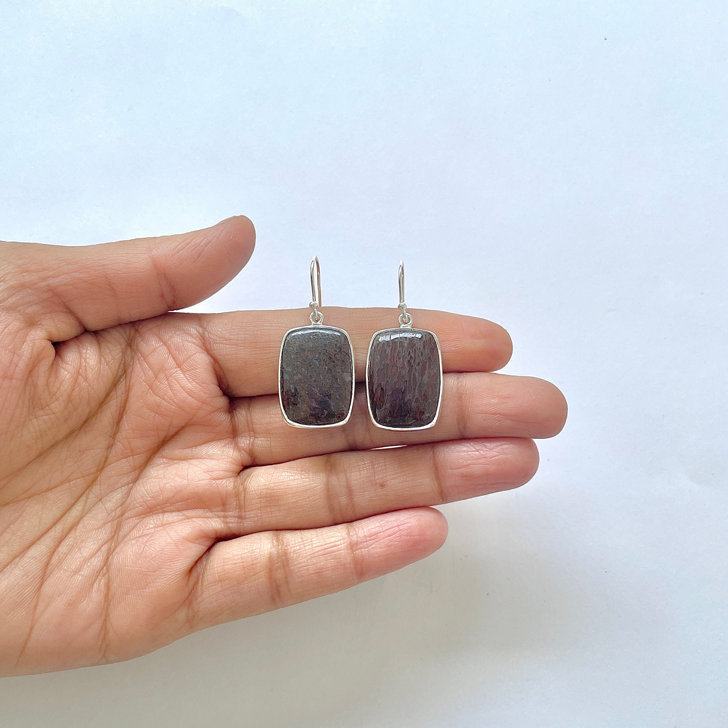 Dinosaur Bone Earring-(DSB-3-4)