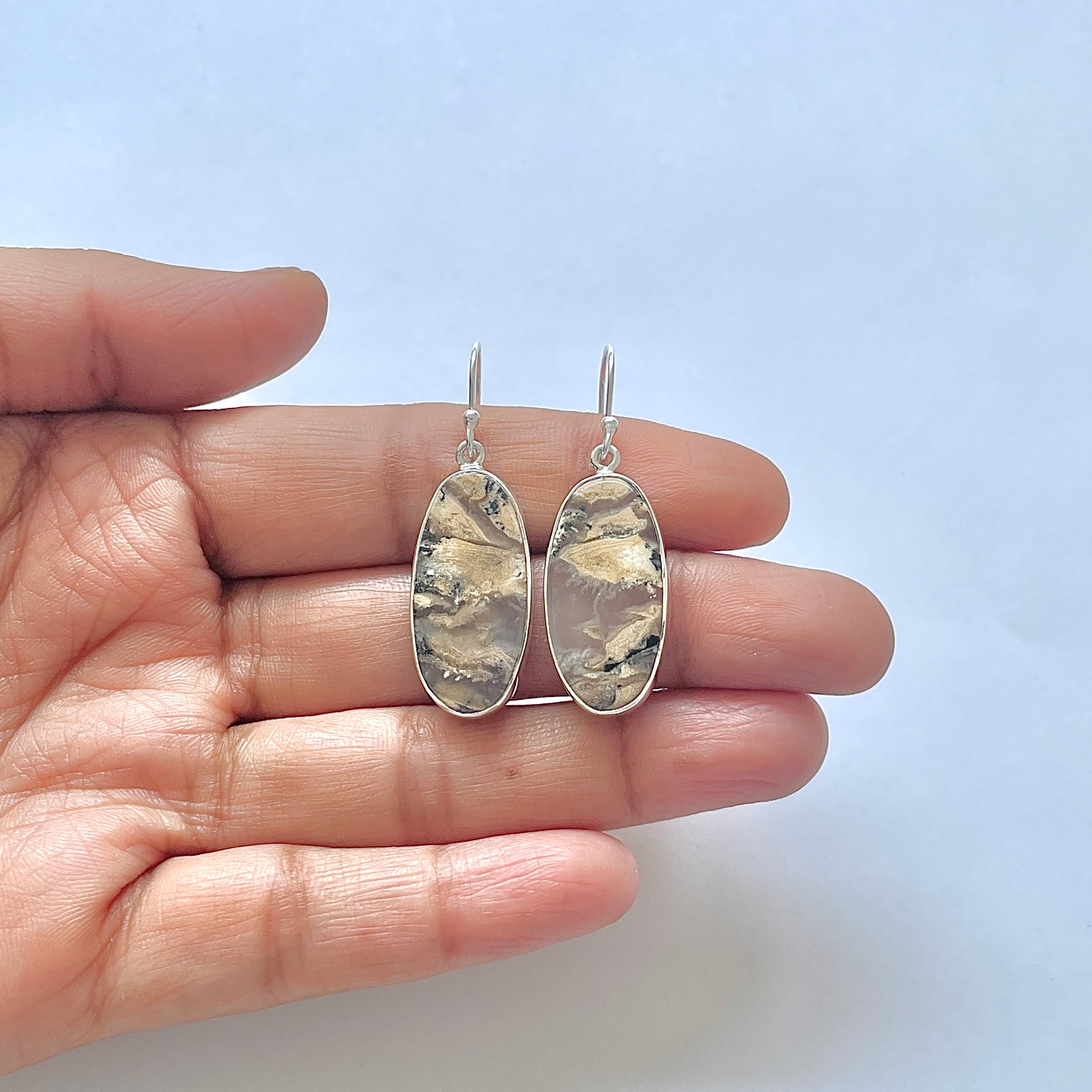 Plume Agate Earring-(PLA-3-27)