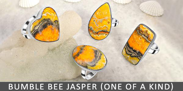 Bumble-Bee-Jasper