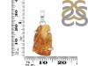Amber Pendant-SP AMB-1-207