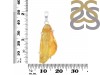 Amber Pendant-SP AMB-1-210