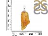Amber Pendant-SP AMB-1-220