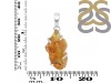 Amber Pendant-SP AMB-1-224