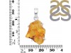 Amber Pendant-SP AMB-1-238