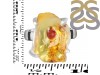 Amber Ring-R-Size-6 AMB-2-110