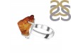 Amber Ring-R-Size-7 AMB-2-76