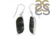 Blood Stone Earring-E BDS-3-25