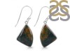 Blood Stone Earring-E BDS-3-28
