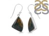 Blood Stone Earring-E BDS-3-28