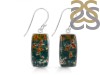 Blood Stone Earring-E BDS-3-7