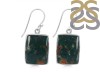 Blood Stone Earring-E BDS-3-8