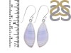 Blue Lace Agate Earring-E BLA-3-37