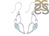 Blue Chalcedony Earring BLX-RDE-50.