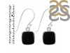Black Onyx Earring-E BOX-3-19