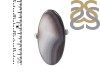 Botswana Agate Adjustable Ring-ADJ-R BWA-2-101