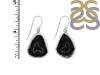 Coconut Geode Earring-E CCG-3-27