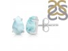 Close Out Larimar Earring LAR-CO-RDE-1207.