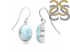 Close Out Larimar Earring LAR-CO-RDE-1233.