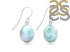 Close Out Larimar Earring LAR-CO-RDE-1233.