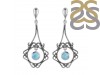 Close Out Larimar Earring LAR-CO-RDE-154.