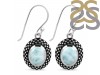 Close Out Larimar Earring LAR-CO-RDE-180.