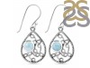 Close Out Larimar Earring LAR-CO-RDE-219.