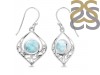 Close Out Larimar Earring LAR-CO-RDE-228.