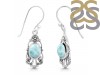 Close Out Larimar Earring LAR-CO-RDE-95.