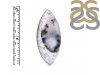 Dendritic Agate Adjustable Ring-ADJ-R DDA-2-239