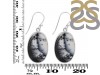 Dendritic Agate Earring-E DDA-3-104