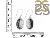 Dendritic Agate Earring-E DDA-3-106