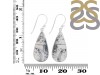 Dendritic Agate Earring-E DDA-3-107