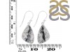 Dendritic Agate Earring-E DDA-3-108