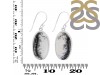 Dendritic Agate Earring-E DDA-3-112