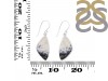 Dendritic Agate Earring-E DDA-3-116