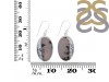 Dendritic Agate Earring-E DDA-3-120
