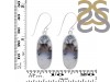 Dendritic Agate Earring-E DDA-3-121