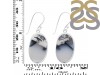 Dendritic Agate Earring-E DDA-3-123