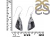 Dendritic Agate Earring-E DDA-3-124