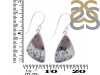 Dendritic Agate Earring-E DDA-3-125
