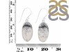 Dendritic Agate Earring-E DDA-3-128