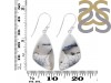 Dendritic Agate Earring-E DDA-3-81