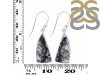 Dendritic Agate Earring-E DDA-3-83