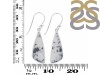 Dendritic Agate Earring-E DDA-3-84