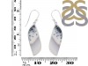 Dendritic Agate Earring-E DDA-3-89