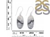 Dendritic Agate Earring-E DDA-3-92