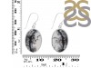 Dendritic Agate Earring-E DDA-3-95