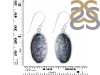 Dendritic Agate Earring-E DDA-3-97