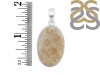 Fossilized Coral Pendant-SP FSC-1-38