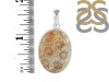 Fossilized Coral Pendant-SP FSC-1-48
